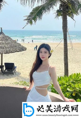 喷枪w71与w77与w10-喷枪w71与w77与w10中文版v4.6.4