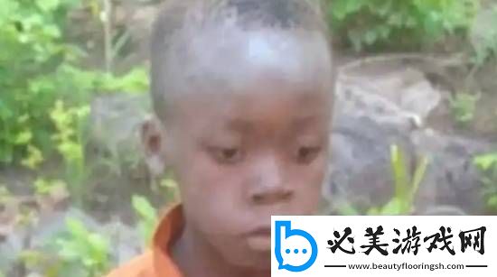 非洲8岁男孩在野生动物园独自生存5天园内狮子成群