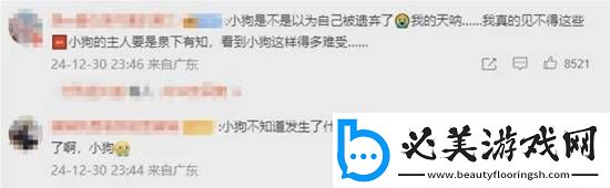 韩空难一家9口遇难仅剩小狗苦等