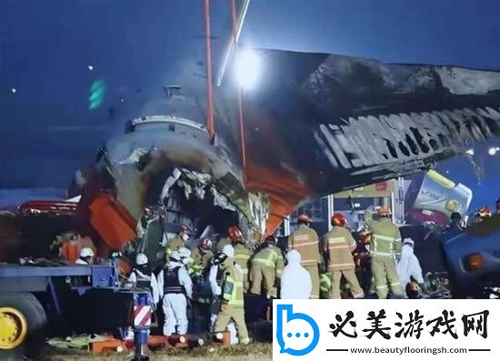 韩空难一家9口遇难仅剩小狗苦等