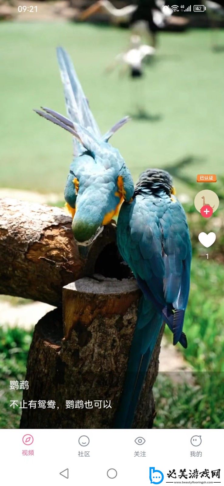 女士不遮阴小内搭无套软件永久版,女士不遮阴小内搭无套软件高清独享版