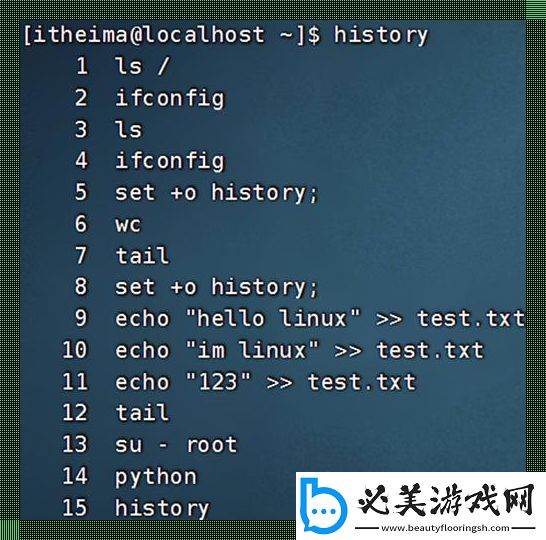 linux强制退出当前命令