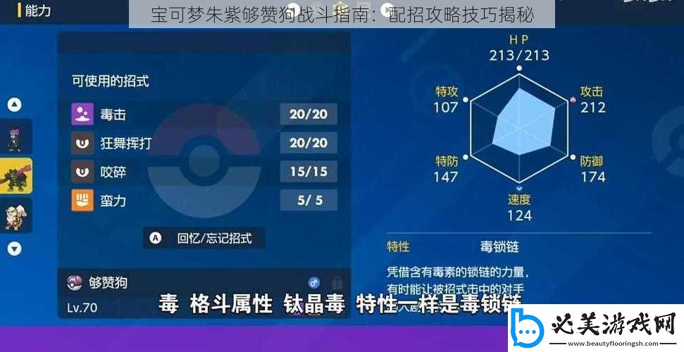 宝可梦朱紫够赞狗战斗指南