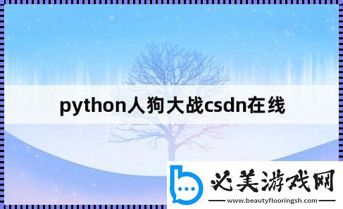 py冲撞csdn