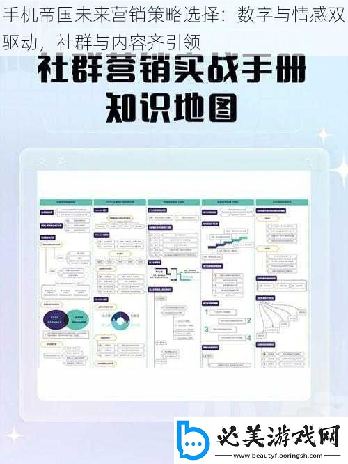 手机帝国未来营销策略选择
