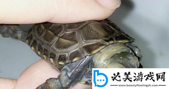 “白圈惊现雄**！全网疯传奇观