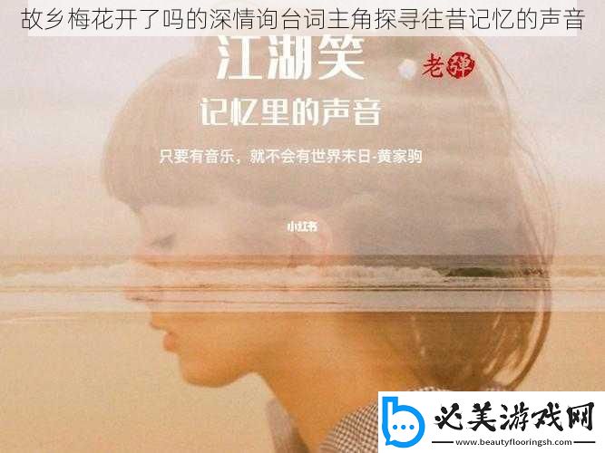 故乡梅花开了吗的深情询台词主角探寻往昔记忆的声音