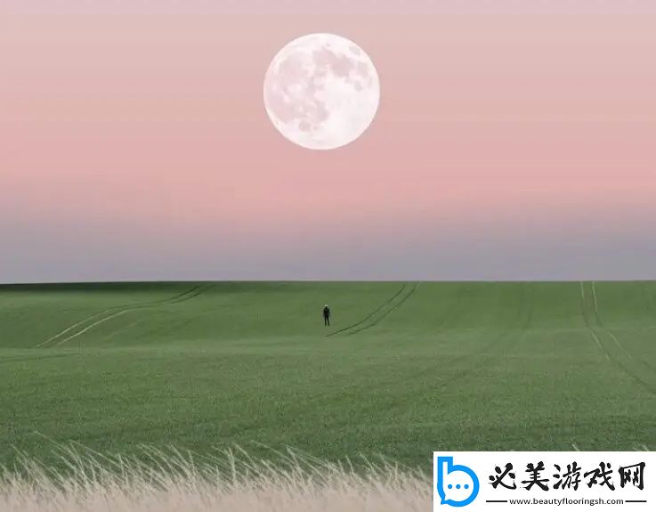 欧洲尺码日本尺码专线美国t的转换和选择指南