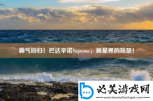 霸气回归！巴达辛诺supreme