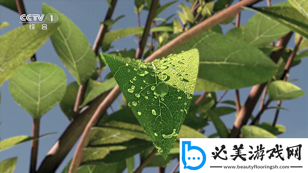 c哭白丝数学课代下载-c哭白丝数学课代下载