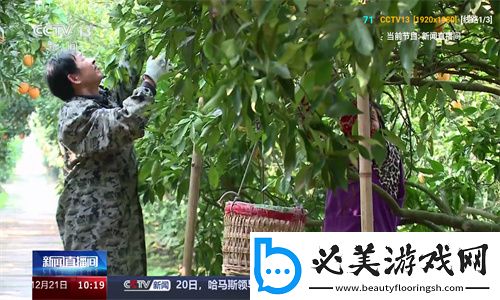 丫丫影院最新电视剧免费下载-丫丫影院最新电视剧免费下载