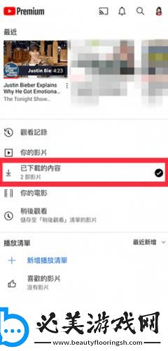 猛虎视频免费观看下载-猛虎视频免费观看下载