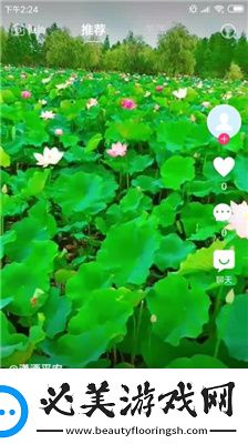 毛区二区3下载-毛区二区3下载